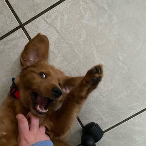 Meet your Posher, Andrea